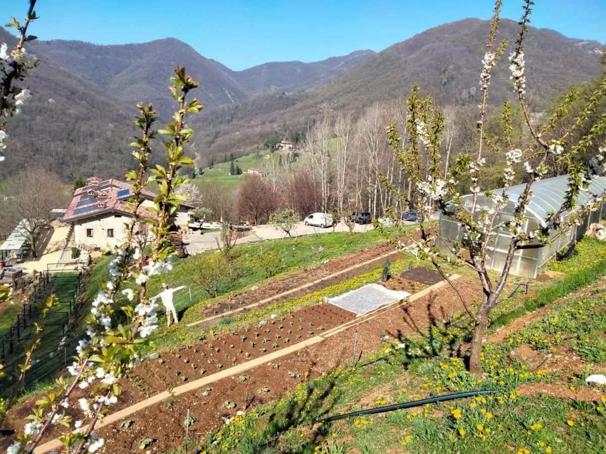 Agriturismo Ca' Fenile Alzano Lombardo Exterior foto